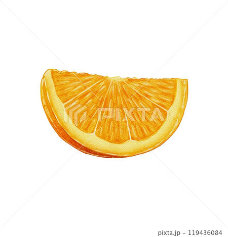 Slice of Orange Watercolor Illustration 119436084