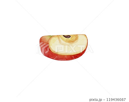 Slice of Red Apple, Watercolor Illustration 119436087