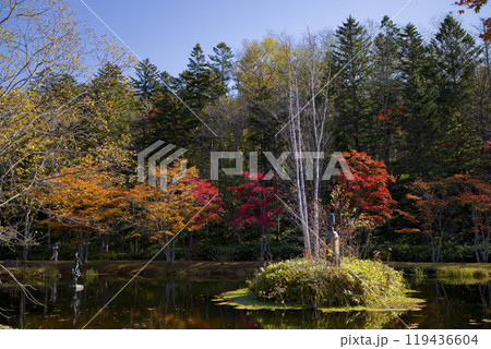 紅葉と池 紅葉と池 119436604