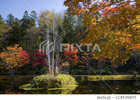 紅葉と池 紅葉と池 119436605