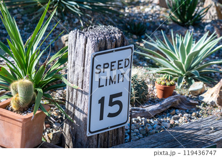 西海岸をイメージ 119436747