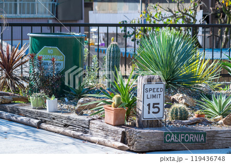 西海岸をイメージした庭 119436748