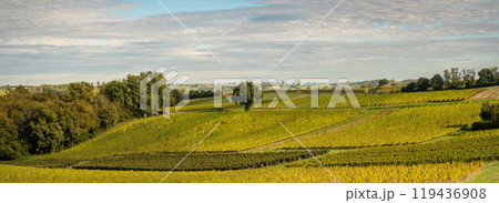 Sunset landscape bordeaux wineyard france, europe Nature 119436908