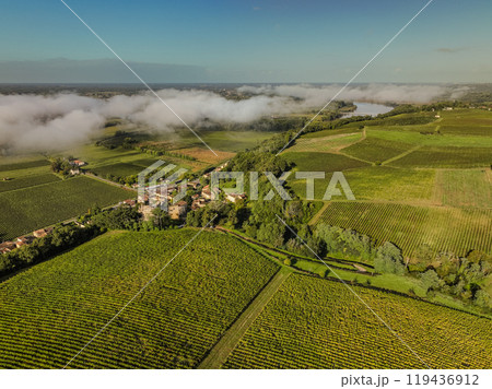 Aerial view, Bordeaux vineyard, landscape vineyard south west of france, Langoiran 119436912