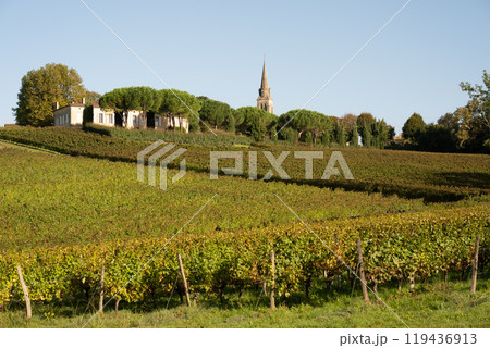 Sunset landscape bordeaux wineyard, Langoiran, france, europe Nature 119436913