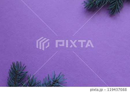 Background of a spruce branch on a purple background with space for copyspace text 119437088