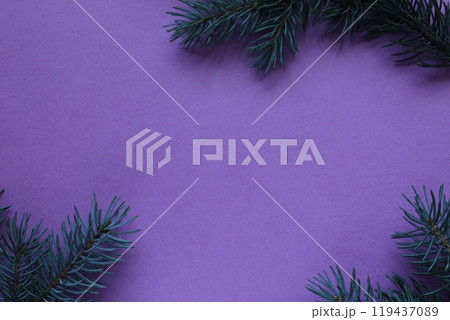 Background of a spruce branch on a purple background with space for copyspace text 119437089