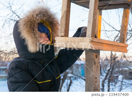 Adorable child, boy feeding birds on a cold winter day, pouring grain into a feeder. A child helps birds in winter. Winter activities for 119437400
