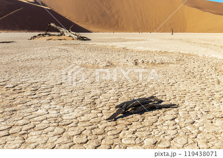 Barren landscape near Deadvlei and sossusvlei 119438071