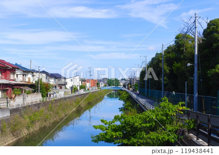 千葉県市川市真間川2024年10月 119438441