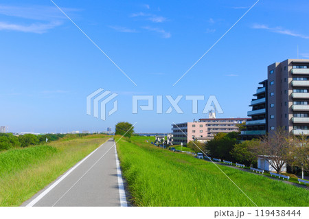 千葉県松戸市江戸川サイクリングロード2024年10月 119438444