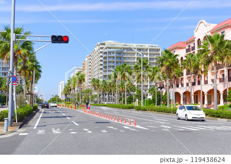 千葉県浦安市新浦安海岸沿いの風景2024年10月 千葉県浦安市新浦安海岸沿いの風景2024年10月 119438624