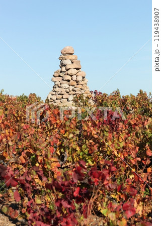 Bourdon tower in Beaujolais, France 119438907