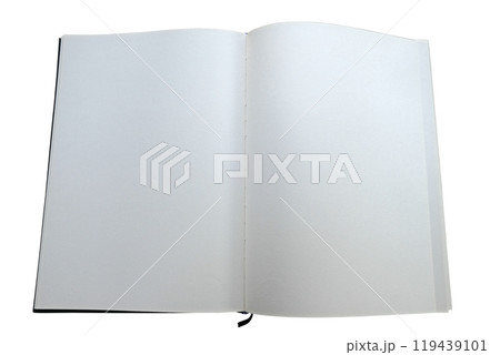 Blank book with plain white pages on the front and back 119439101