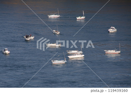 来島海峡小島の潮溜まりの釣り船の群れ 119439160