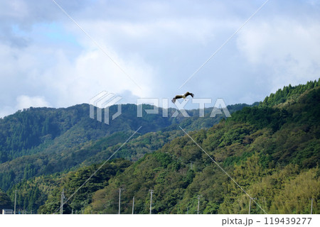 【兵庫】豊岡の風景 119439277