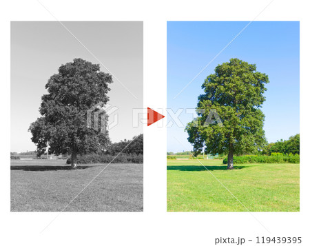 カラー復元のイメージ 119439395