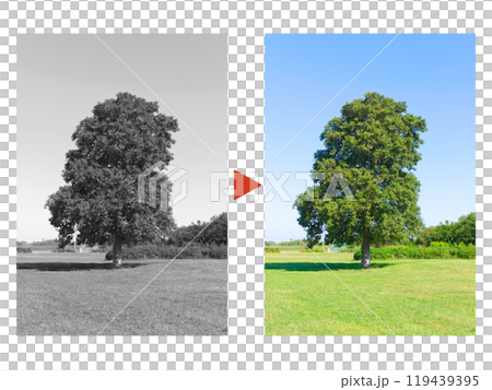 カラー復元のイメージ 119439395