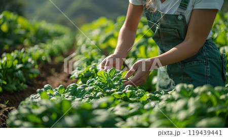 Technology in Agricultural field, cultivated and plantation with futuristic smart objects Technology in Agricultural field, cultivated and plantation with futuristic smart objects 119439441