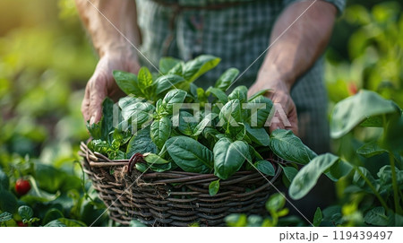 Technology in Agricultural field, cultivated and plantation with futuristic smart objects 119439497
