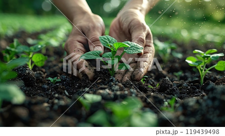 Technology in Agricultural field, cultivated and plantation with futuristic smart objects 119439498