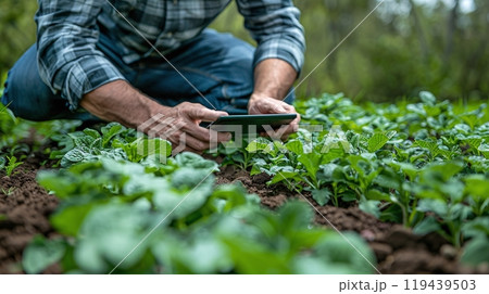 Technology in Agricultural field, cultivated and plantation with futuristic smart objects 119439503