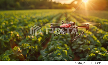 Technology in Agricultural field, cultivated and plantation with futuristic smart objects 119439509