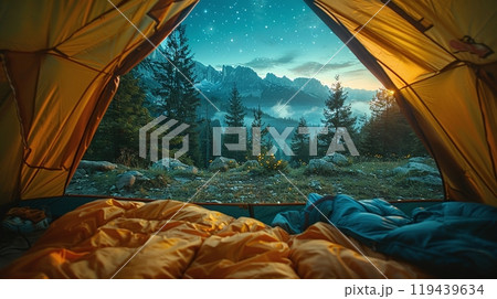 Inside out view of camping tent at the campground 119439634