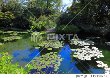 高知県 安芸郡 北川村 モネの庭 マルモッタン 高知県 安芸郡 北川村 モネの庭 マルモッタン 119440735