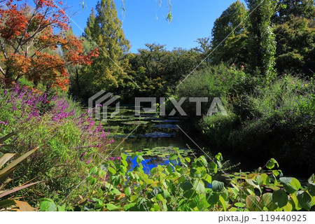 高知県 安芸郡 北川村 モネの庭 マルモッタン 高知県 安芸郡 北川村 モネの庭 マルモッタン 119440925