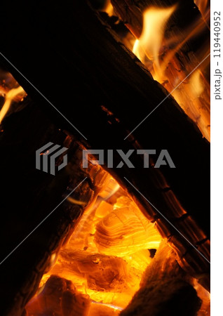 燃える木 燃える木 119440952