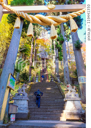 神社の鳥居をくぐる人々（縦） 119441350