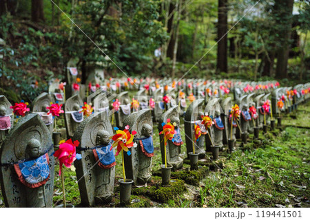 滋賀県　金剛輪寺　緑の世界 119441501