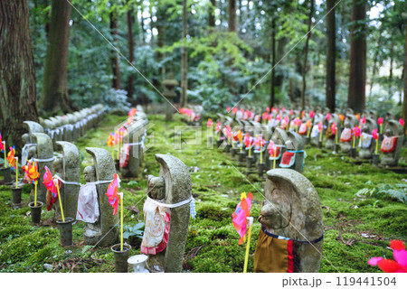 滋賀県　金剛輪寺　緑の世界 119441504