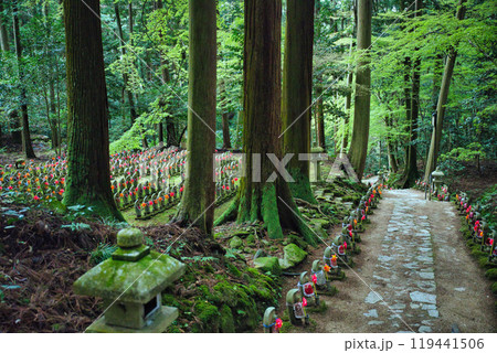滋賀県 金剛輪寺 緑の世界 滋賀県 金剛輪寺 緑の世界 119441506