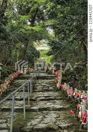 滋賀県 金剛輪寺 緑の世界 滋賀県 金剛輪寺 緑の世界 119441507