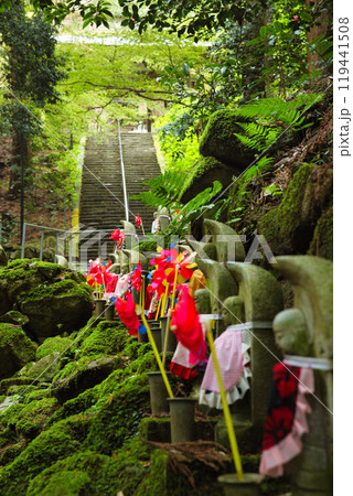 滋賀県　金剛輪寺　緑の世界 119441508
