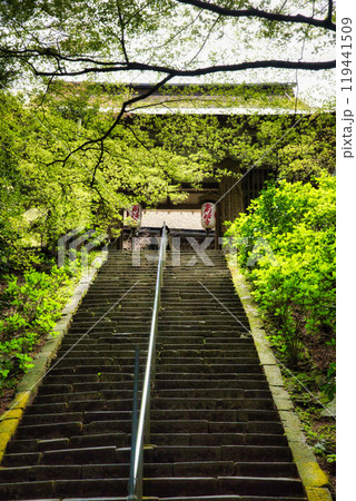 滋賀県　金剛輪寺　緑の世界 119441509