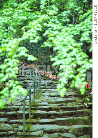 滋賀県　金剛輪寺　緑の世界 119441510