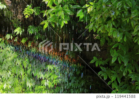 森の中のカラフルな水滴 119441588