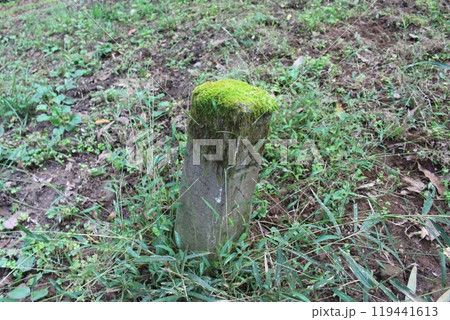 長倉線 119441613