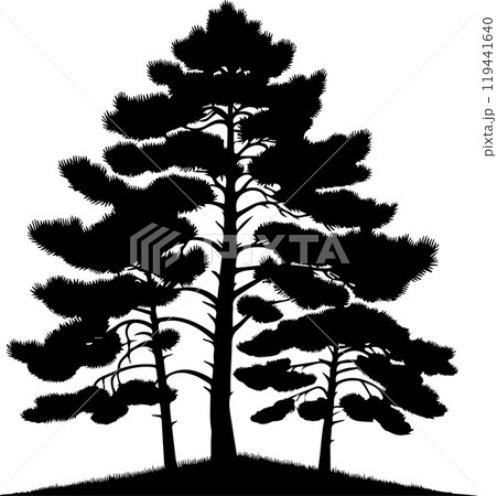 wooden silhouette transparent background 119441640