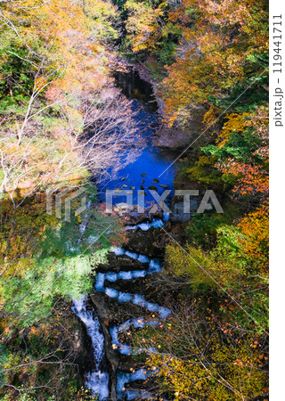 紅葉に染まる魚道（縦） 119441711