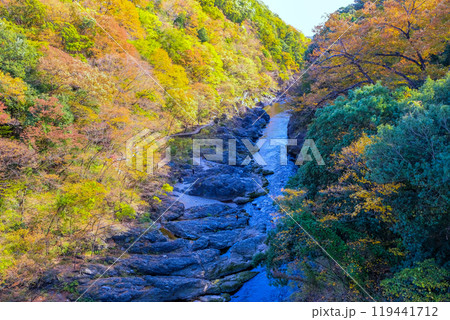 紅葉に染まる渓谷 119441712