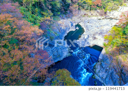 紅葉に染まる渡良瀬川 紅葉に染まる渡良瀬川 119441713