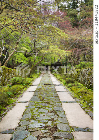 滋賀県 金剛輪寺 緑の世界 滋賀県 金剛輪寺 緑の世界 119441822