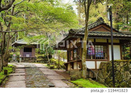滋賀県 金剛輪寺 緑の世界 滋賀県 金剛輪寺 緑の世界 119441823