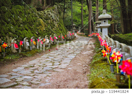 滋賀県 金剛輪寺 緑の世界 滋賀県 金剛輪寺 緑の世界 119441824