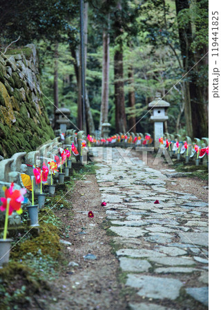 滋賀県 金剛輪寺 緑の世界 滋賀県 金剛輪寺 緑の世界 119441825