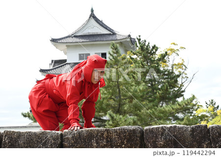 石垣の上から覗き込むくノ一 119442294
